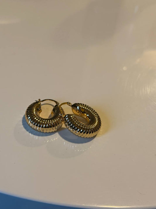 JBS458 earings