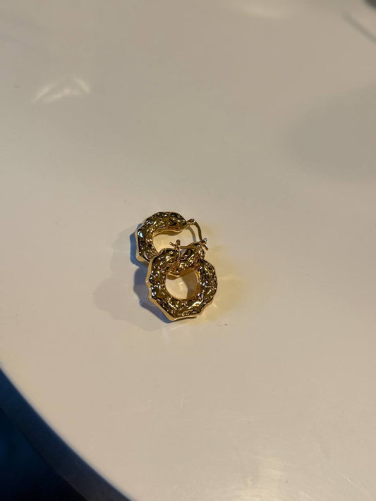 JBS457 earrings